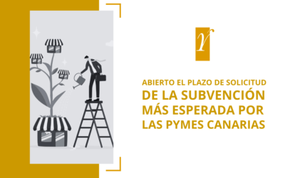 Solicita ya la ayuda para mejorar la competitividad, sostenibilidad y crecimiento empresarial en Canarias!